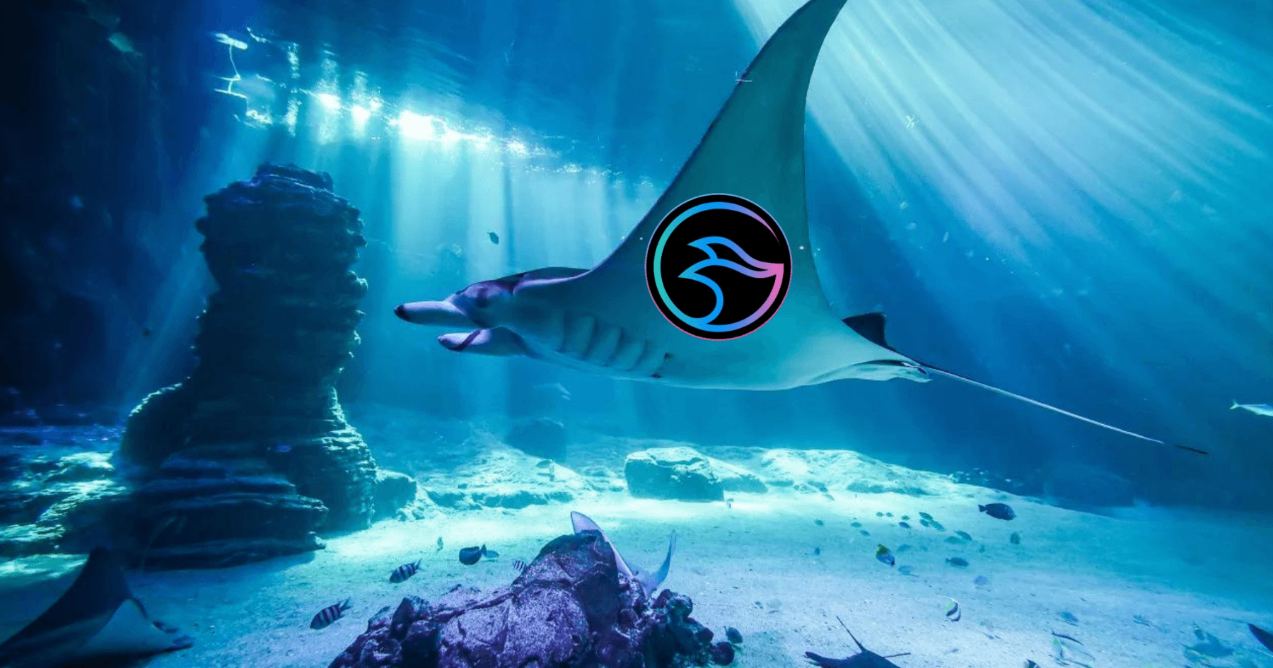 Manta 生態爆發！這 13 個未發幣項目值得參與，有「一魚三吃」機會TVL暴漲的Manta Pacific，其生態有哪些未發幣的項目值得參與呢？
