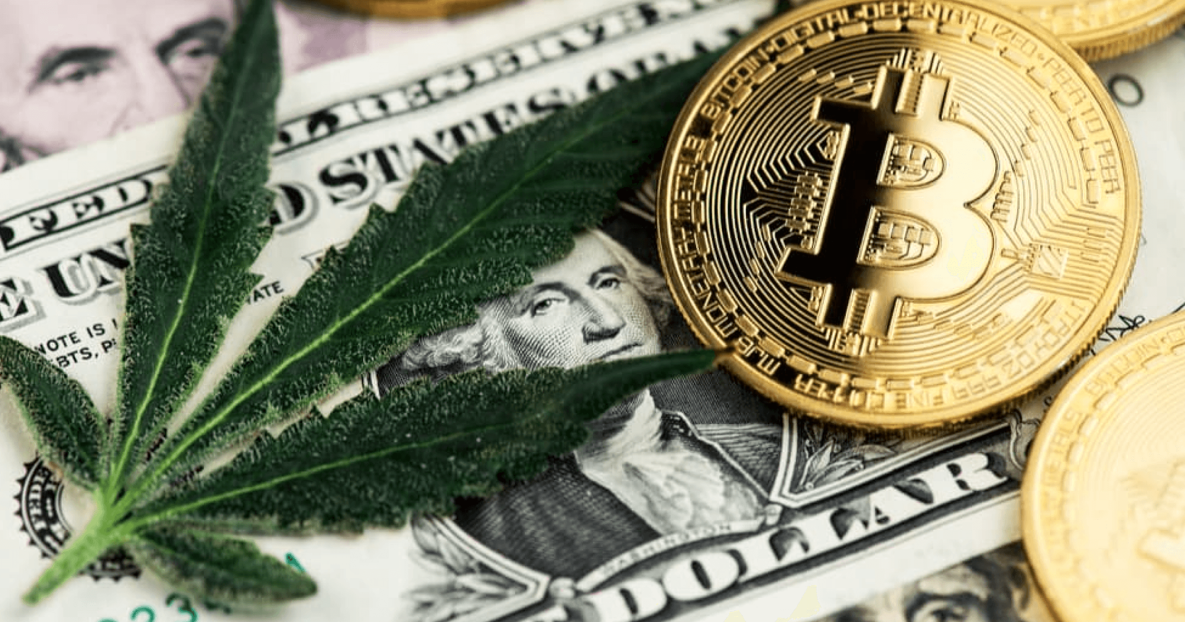 麻了！警方獲線報攻堅「大麻農場」，開門卻驚見比特幣礦機？西班牙當地警方接獲線報，在塞維利亞附近的小鎮中有異常用電現象，原以為是非法種植大麻的農場，沒想到攻堅後卻看到大量的製冷設備和礦機？ 