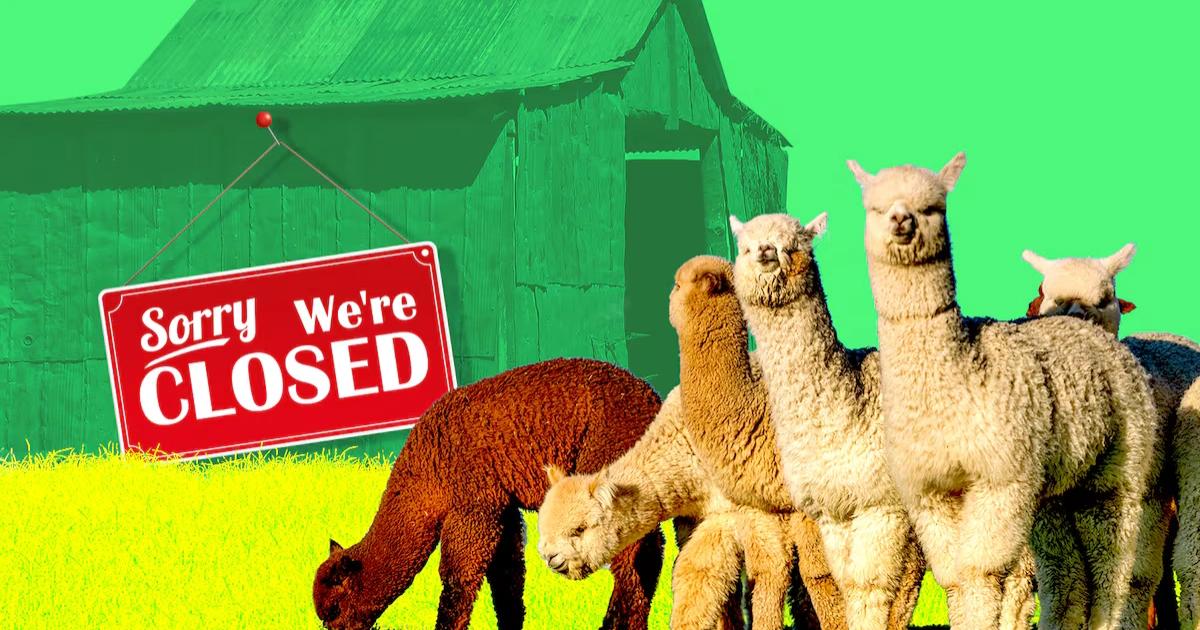 Alpaca Finance年底關閉！幣安下架壓垮羊駝，昔日明星項目黯然退場Alpaca Finance 宣布將於 2025 年底關閉，受虧損、退市與併購破局等因素影響，DeFi 旅程走向終點。