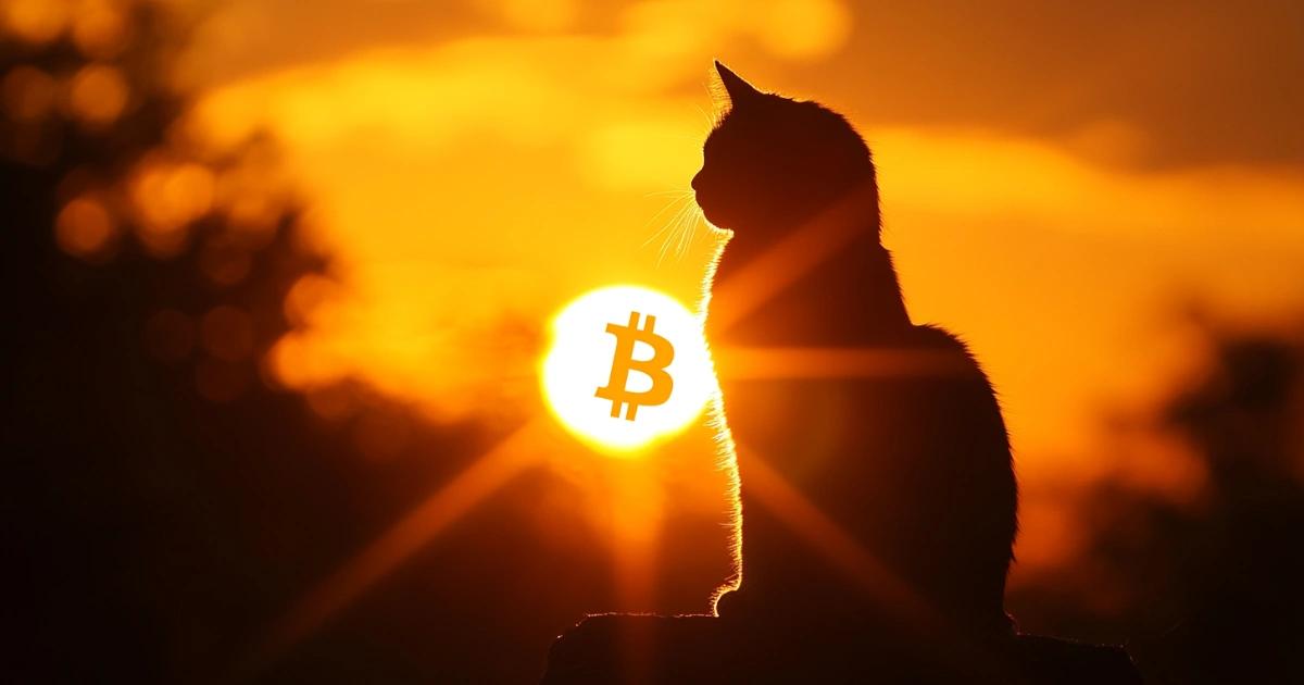 2024最強幣！外媒：這4種幣都跑贏比特幣，微策略年漲近500%2024 年，加密貨幣市場表現強勁，$PEPE、$SUI 和 MicroStrategy 等資產大幅上漲，比特幣 ETF 和狗狗幣也大幅受益。
