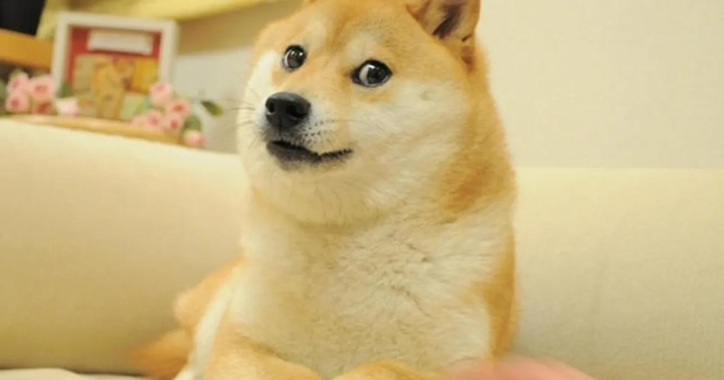 全球 DOGE 粉來集氣！狗狗幣迷因本尊「Kabosu」傳病危促成狗狗幣（$DOGE）誕生的 Doge 迷因本尊母柴犬「Kabosu」，昨天（26 日）傳出病危的消息，狗主人正在徵求全球粉絲幫自家愛狗集氣祈福。