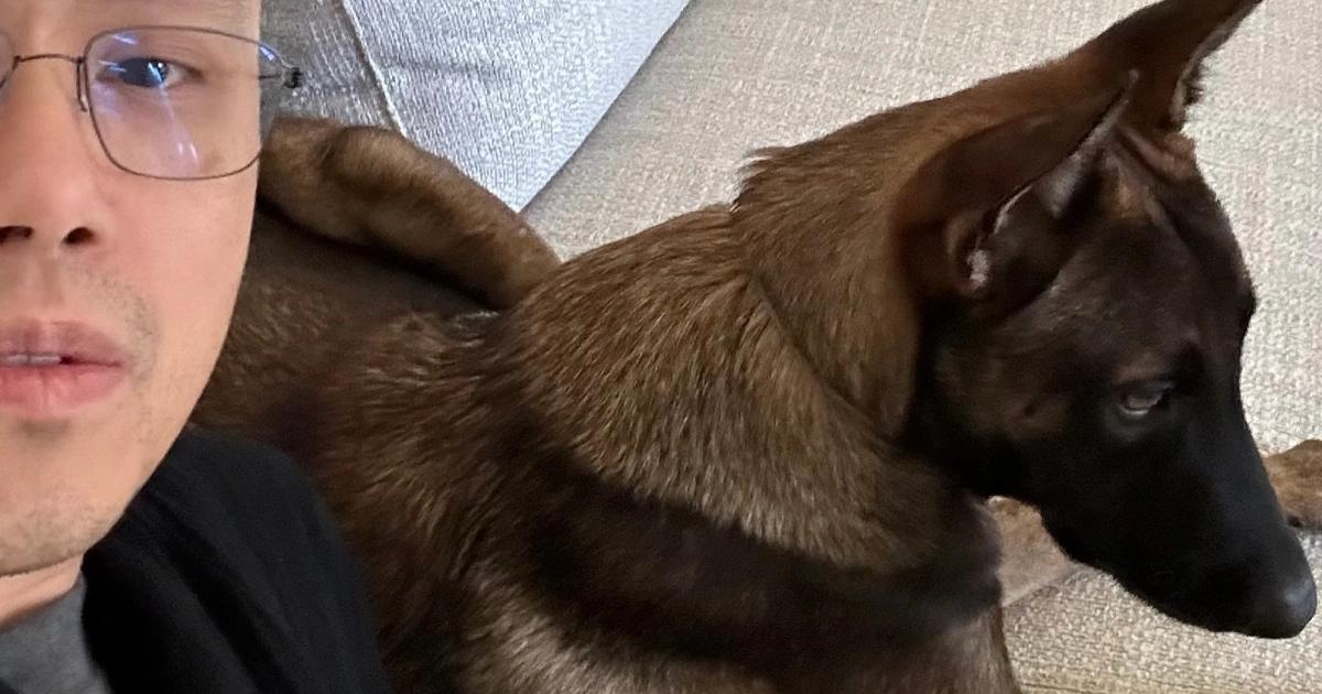 CZ曝愛犬名字！鏈上狂發780種幣，「這個幣」1小時暴漲8000%幣安前 CEO 趙長鵬（CZ）分享愛犬「花椰菜」故事，引發 Broccoli 迷因幣熱潮，市值最大幣種一度暴漲 8,000%。然而，交易風險極高，社群反應兩極，PancakeSwap 受益交易量激增。