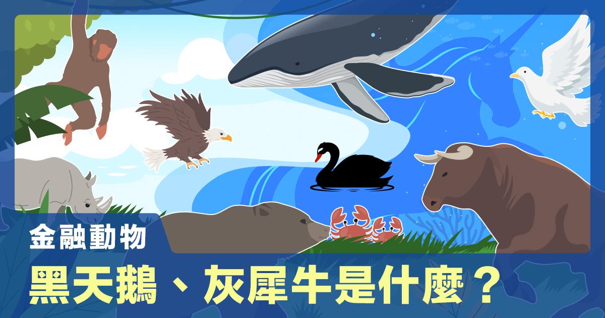 金融動物園！黑天鵝、灰犀牛是什麼？除了牛熊，「幣圈十神獸」 還有哪些在金融圈，無論是股市還是區塊鏈，我們都能聽到許多人會說牛市、熊市、黑天鵝等動物名詞，這些名詞背後究竟有什麼含義？對於整體的金融發展又有何影響？ 