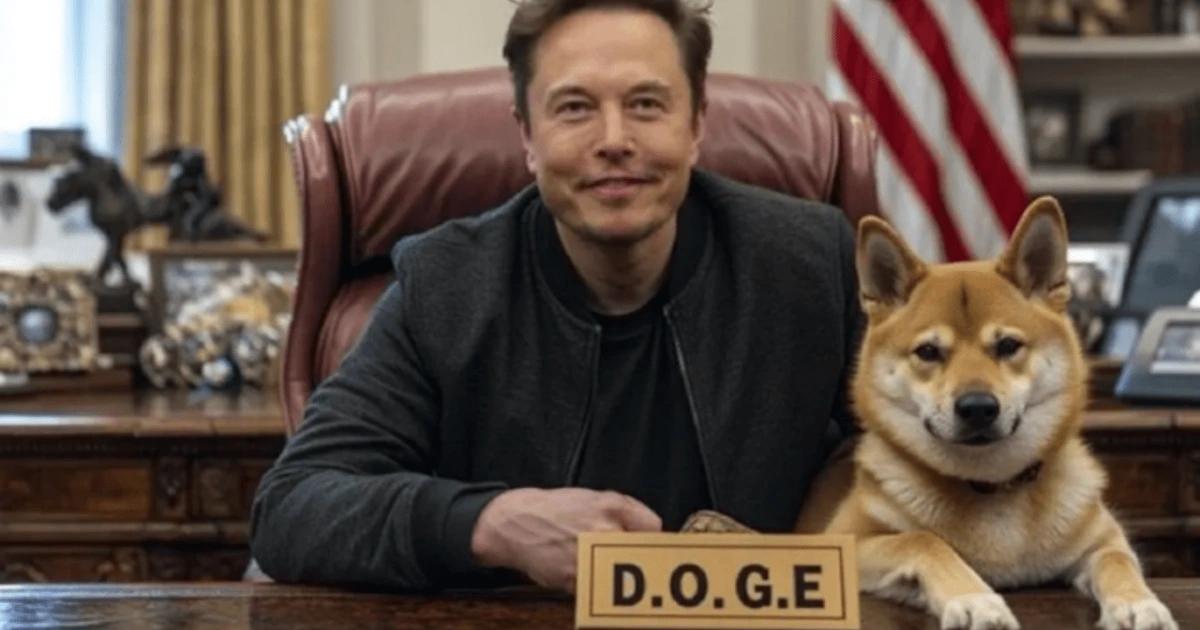 馬斯克DOGE部門新進展！取得財政部相關權限，停止向部分機構撥款DOGE 獲得財政部支付系統權限，正加速撙節並停止不當支付，馬斯克領導改革並節省政府支出。